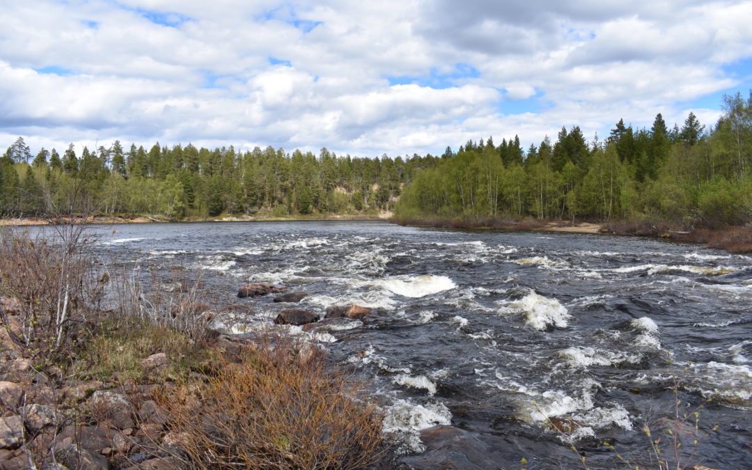 Vesillelasku suoritettu